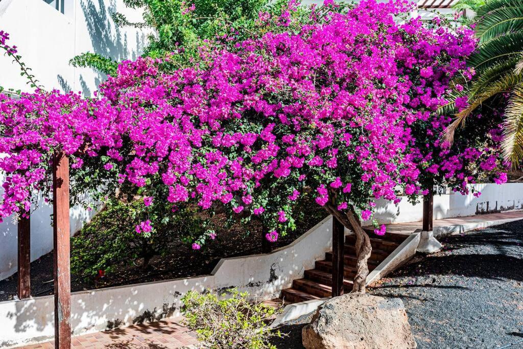Vivienda Vacacional El Descanso Costa Teguise Bagian luar foto